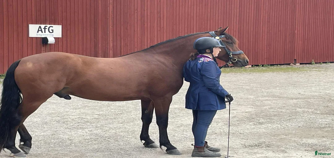 Galleribild {{count}}