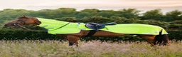 Täcken hästutrustning till salu: Amigo FlyRider ridtäcke Cob - Annons 1