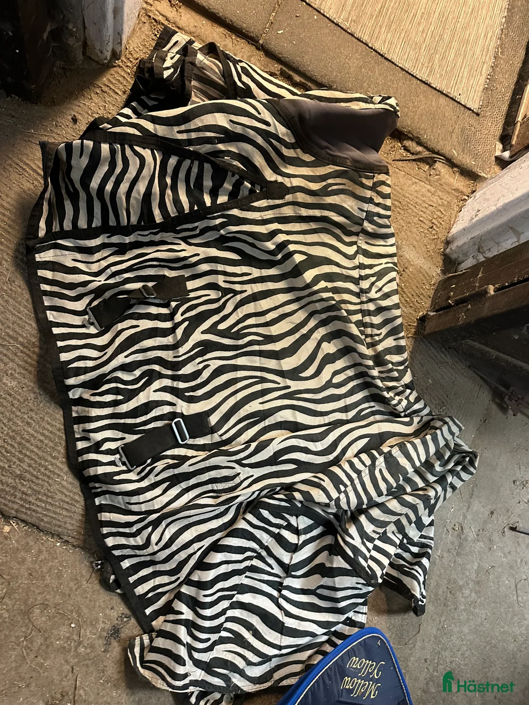 Täcken hästutrustning till salu: Flugtäcke  i Täby - Annons 2