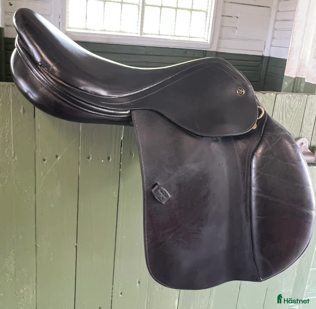 Sadlar hästutrustning till salu: Santa Cruz sadel i Ringarum - Annons 1