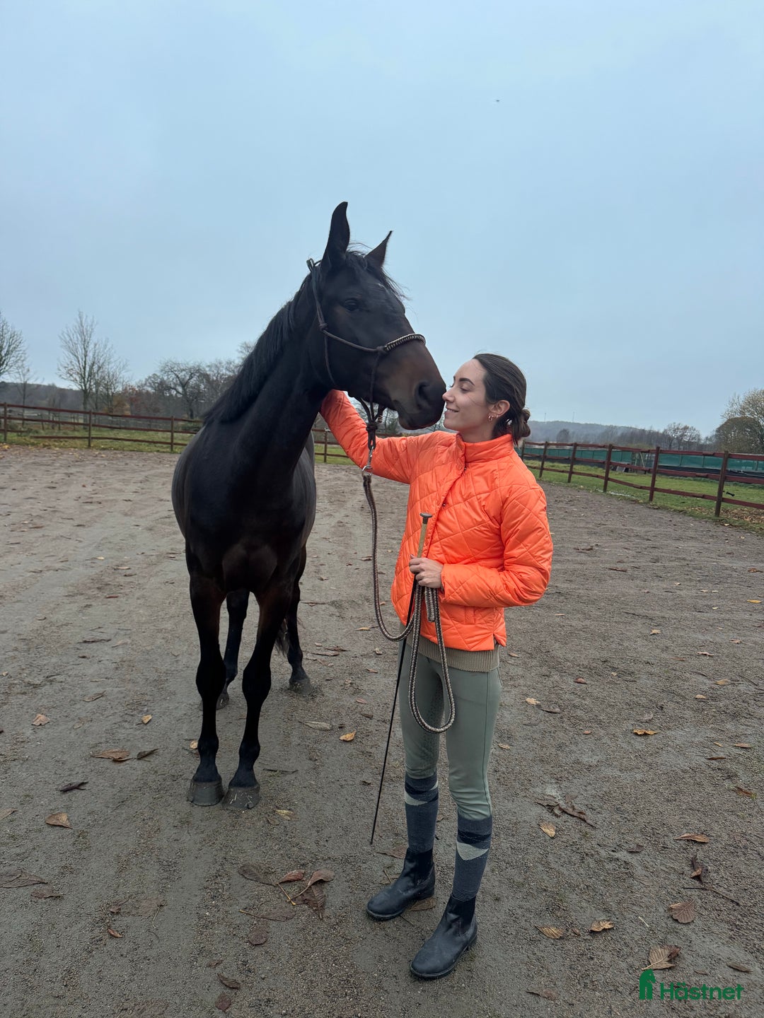 Galleribild {{count}}