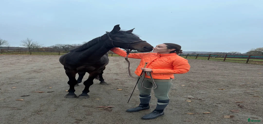 Galleribild {{count}}