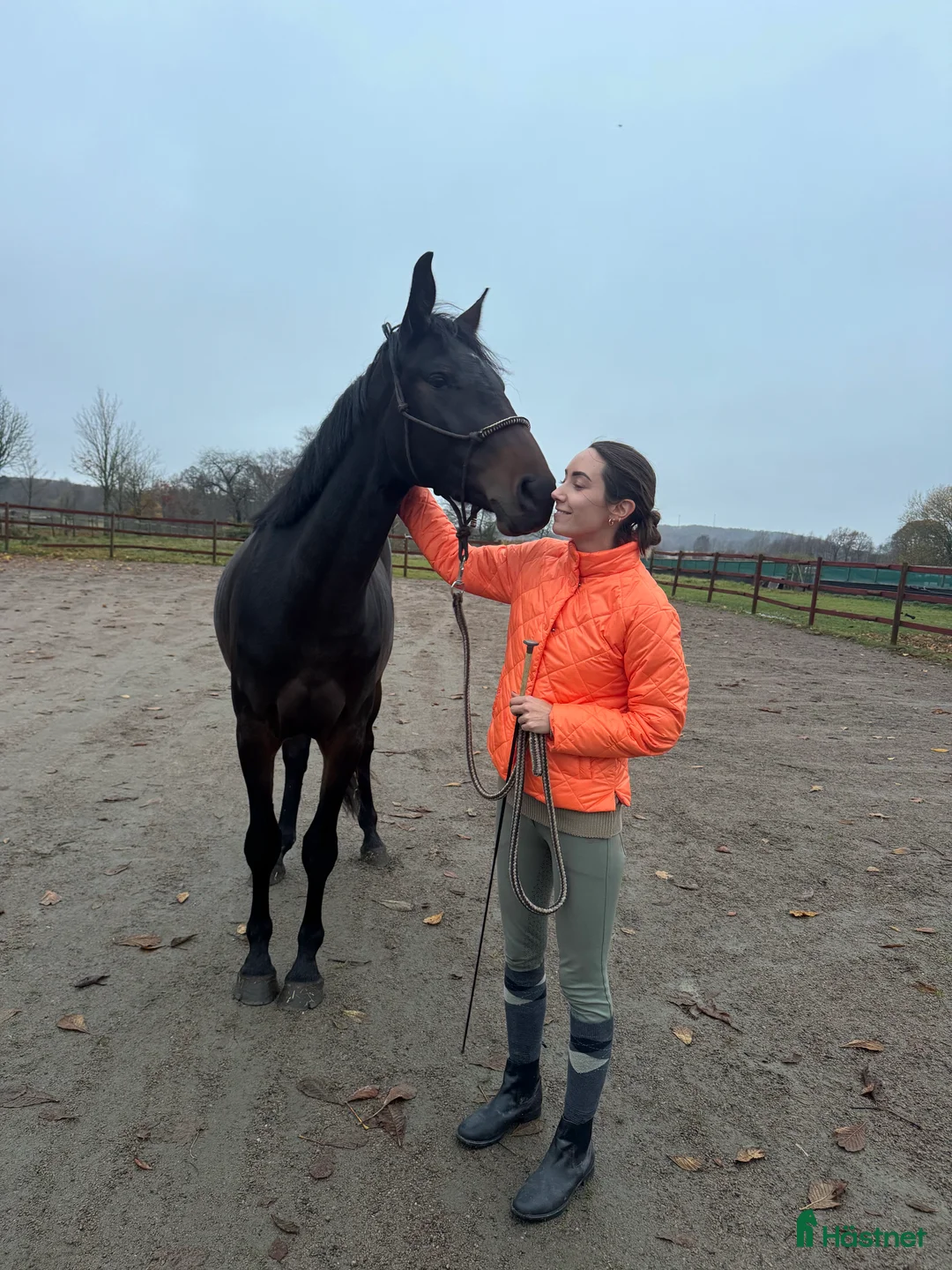 Galleribild {{count}}