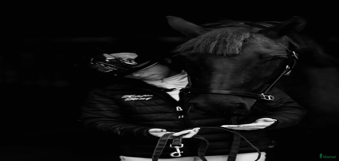 Galleribild {{count}}