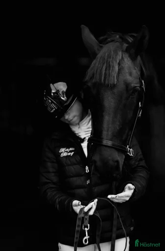 Galleribild {{count}}