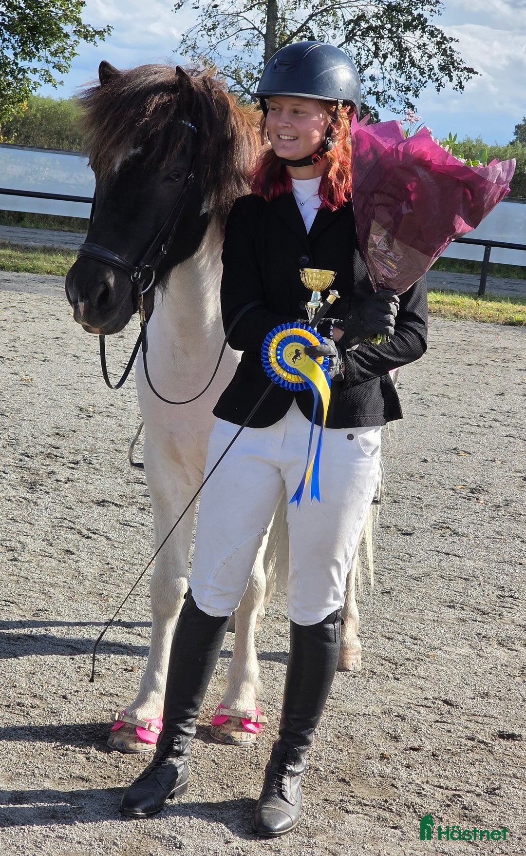 Island hästar till salu: Jupiter från Ishant i Skänninge - Annons 5