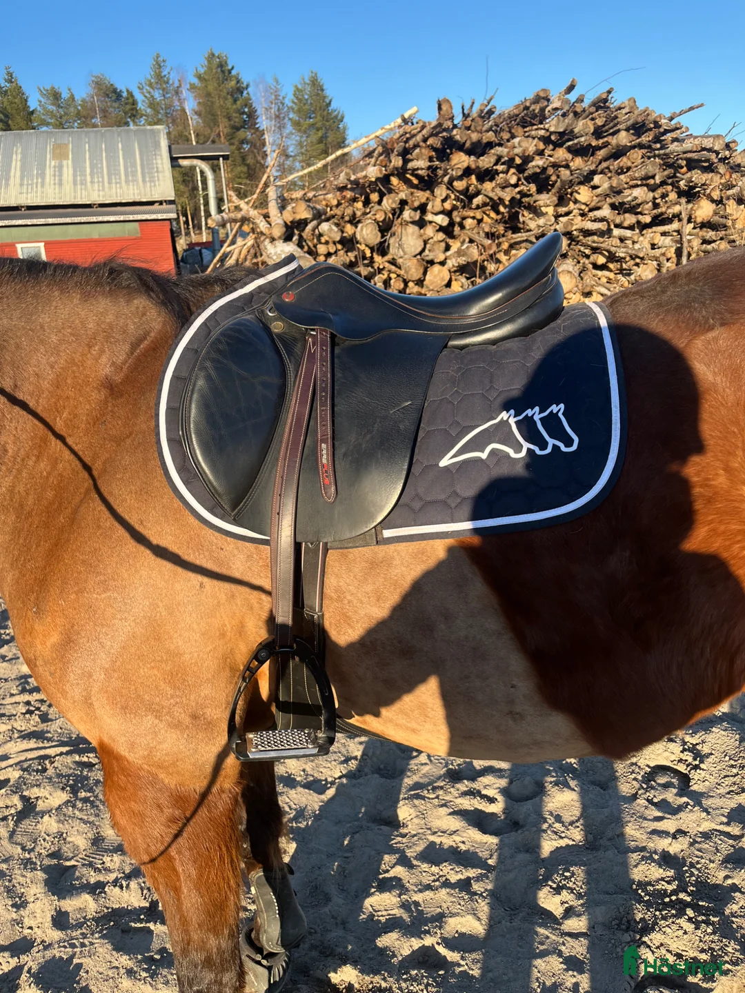 Sadlar hästutrustning till salu: Prestige golden star  - Annons 8