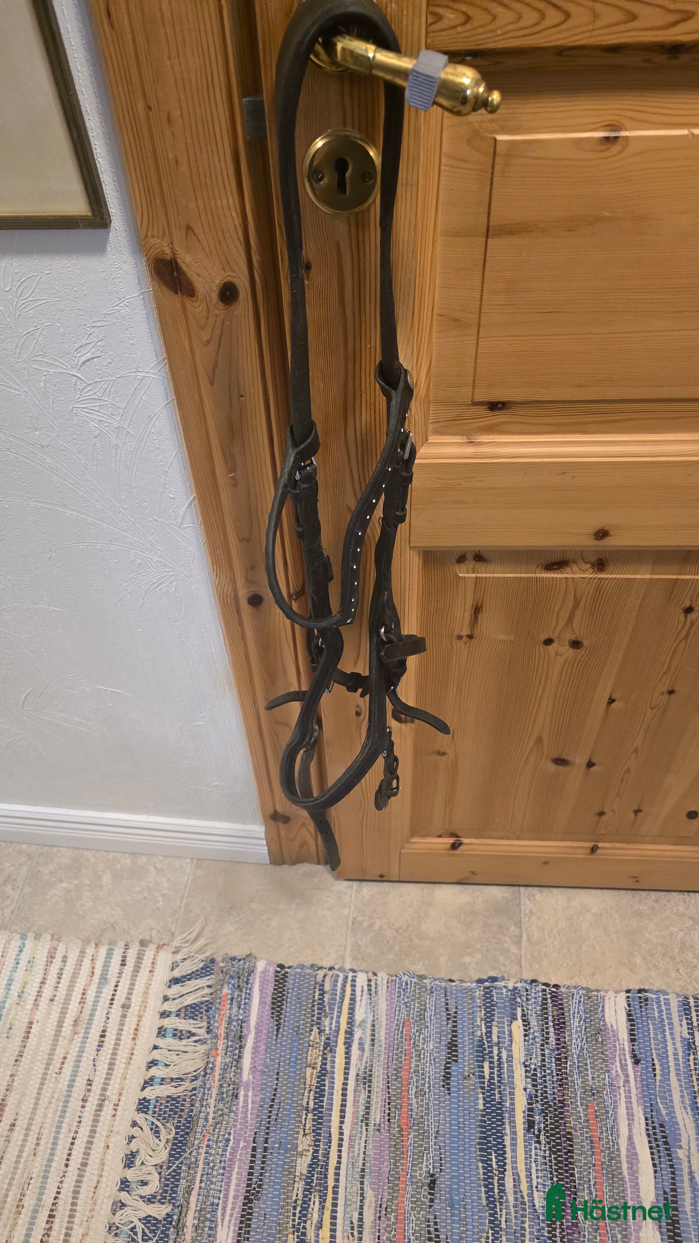 Träns hästutrustning Träns - Annons 8