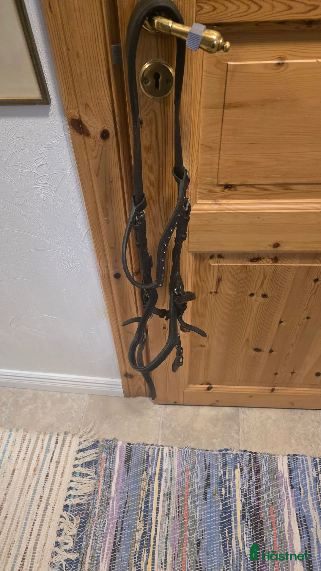 Träns hästutrustning till salu: Träns - Annons 1