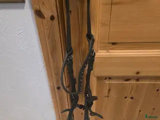 Träns hästutrustning Träns - Annons 8