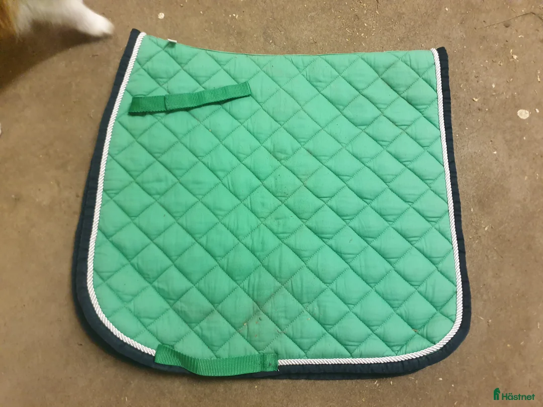 Övrig Hästutrustning hästutrustning till salu: Hästsaker i Skeppshult - Annons 19