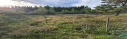  stallplats finnes: Stallplats finnes i Holmsjö - Annons 5