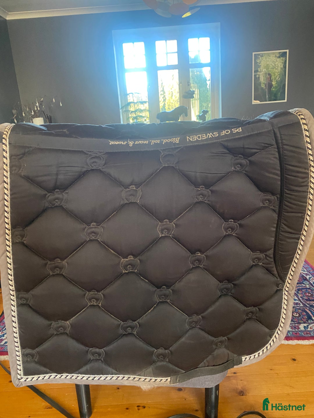 Schabrak & Vojlockar hästutrustning till salu: Ps dressyr full i Hörby - Annons 2