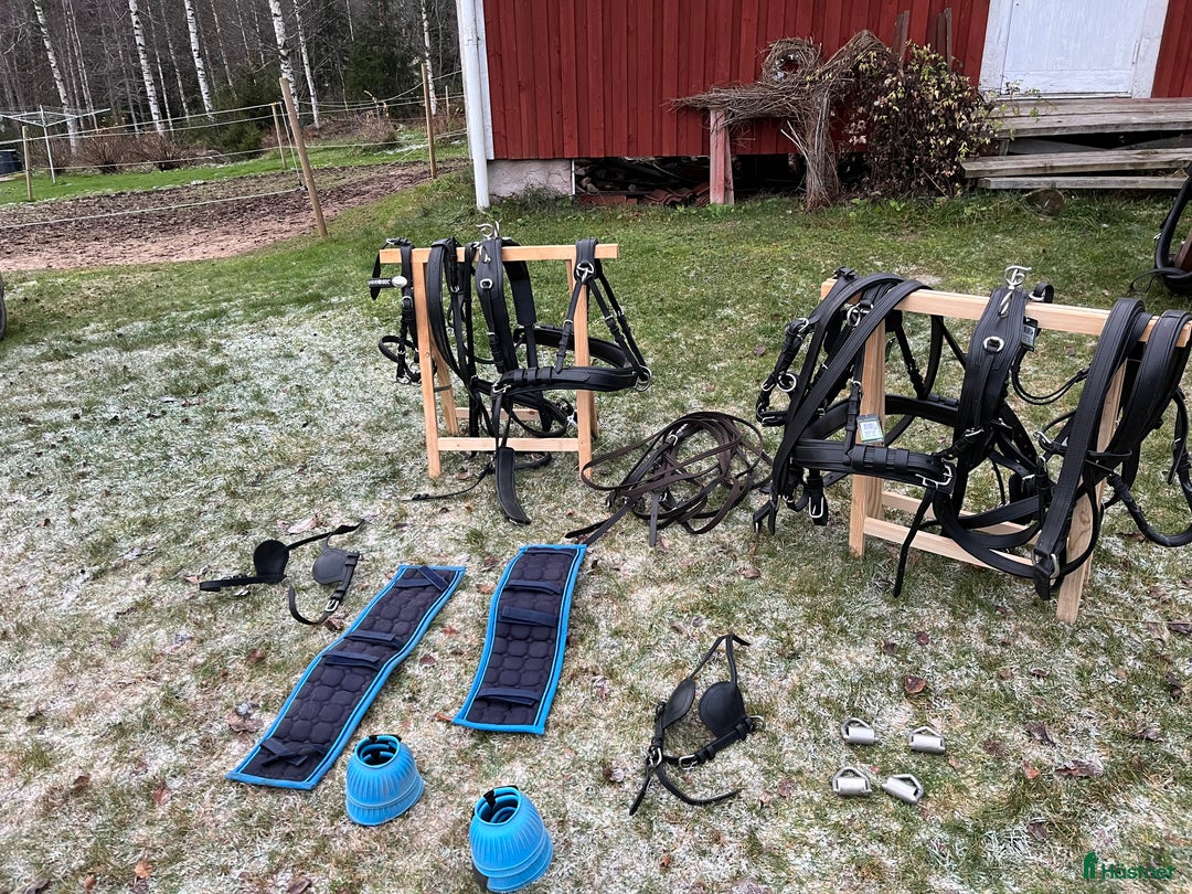 Körselar körning till salu: Parselar ponny Ideal i Västra Ämtervik - Annons 7