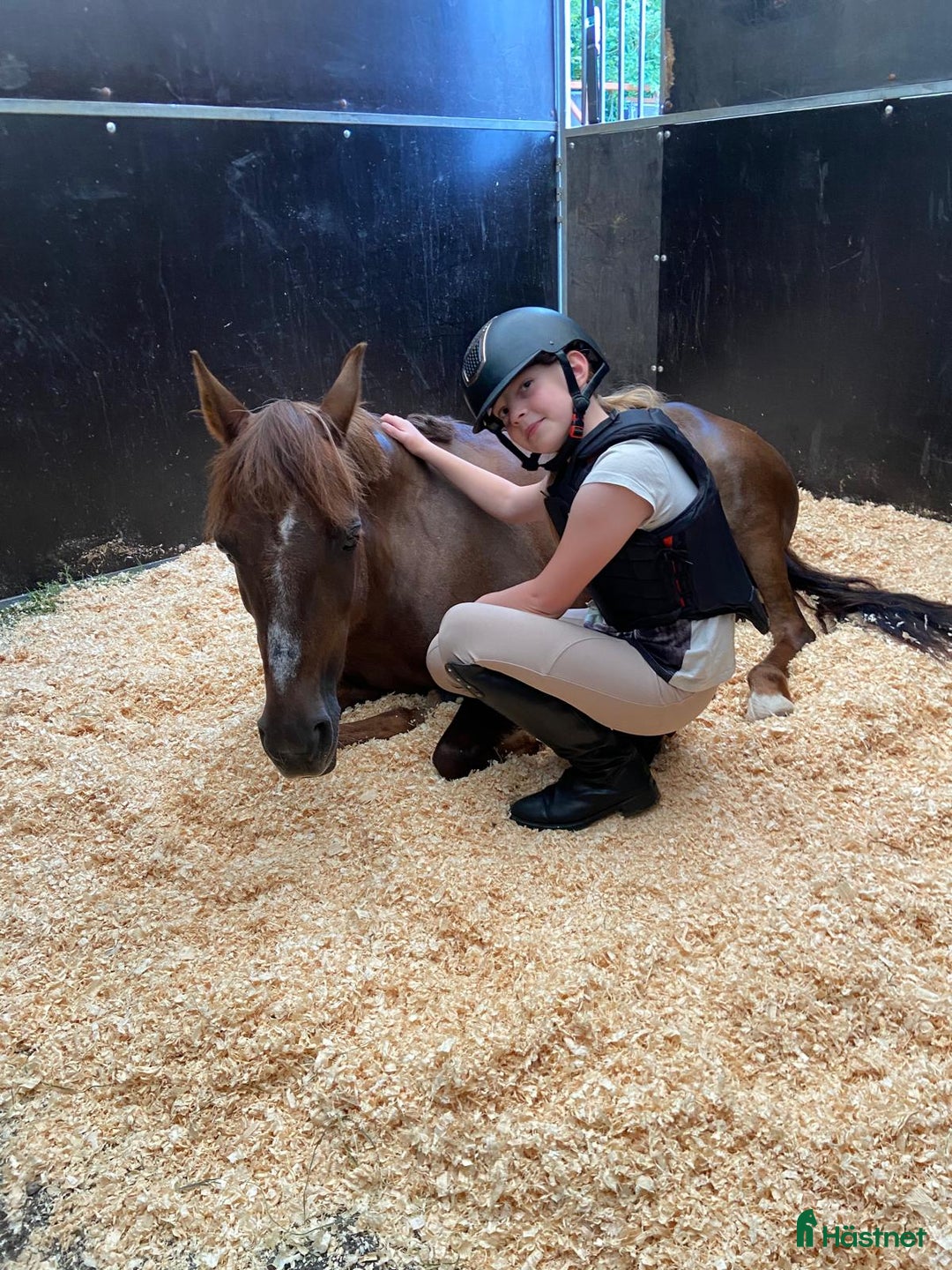 Hoppning hästar till salu: Fantastisk Läromästare  i Sävsjö - Annons 9