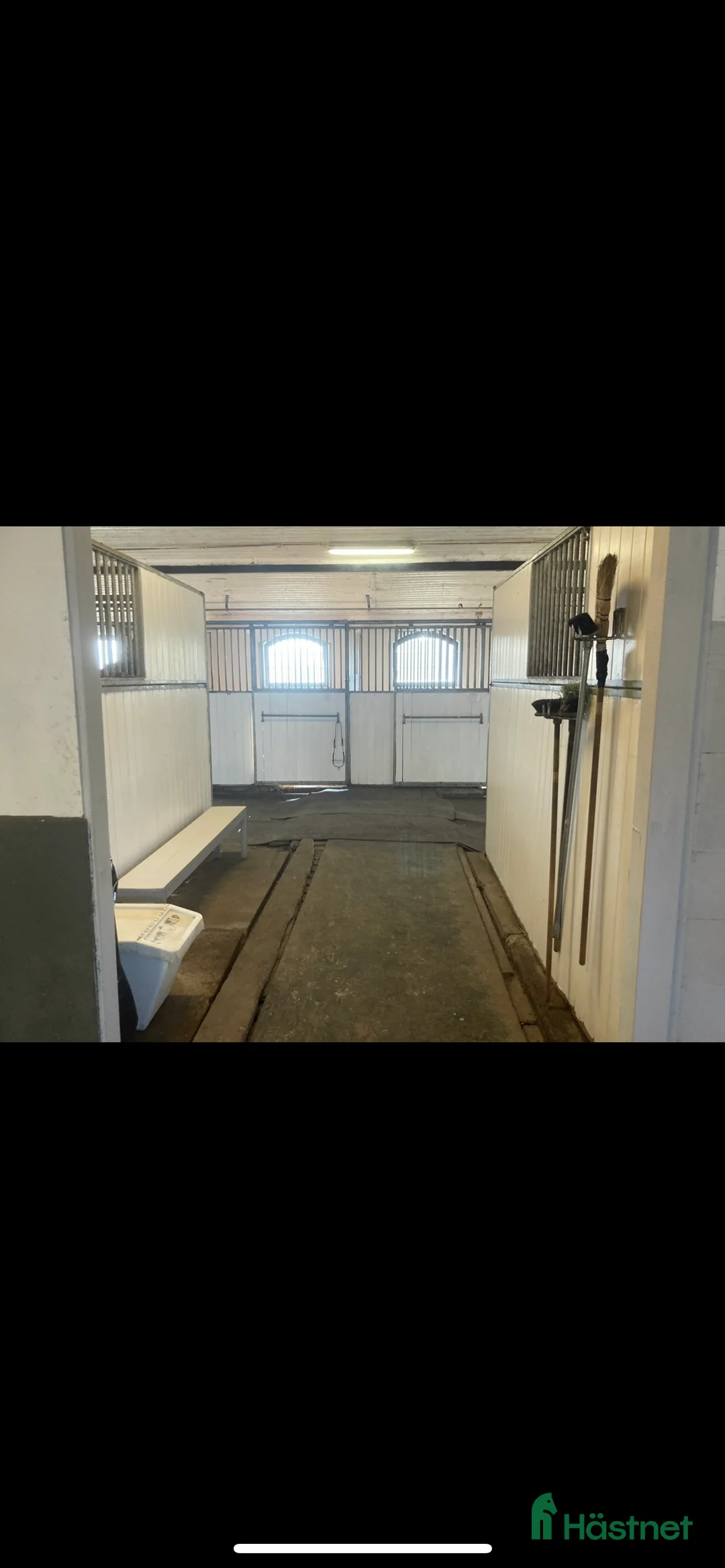  stallplats finnes: Ledig boxplats- Stall Dalsta i Grödinge - Annons 5