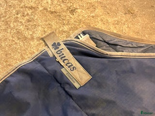 Täcken hästutrustning till salu: Vintertäcken från Bucas säljes i Borås - Annons 20