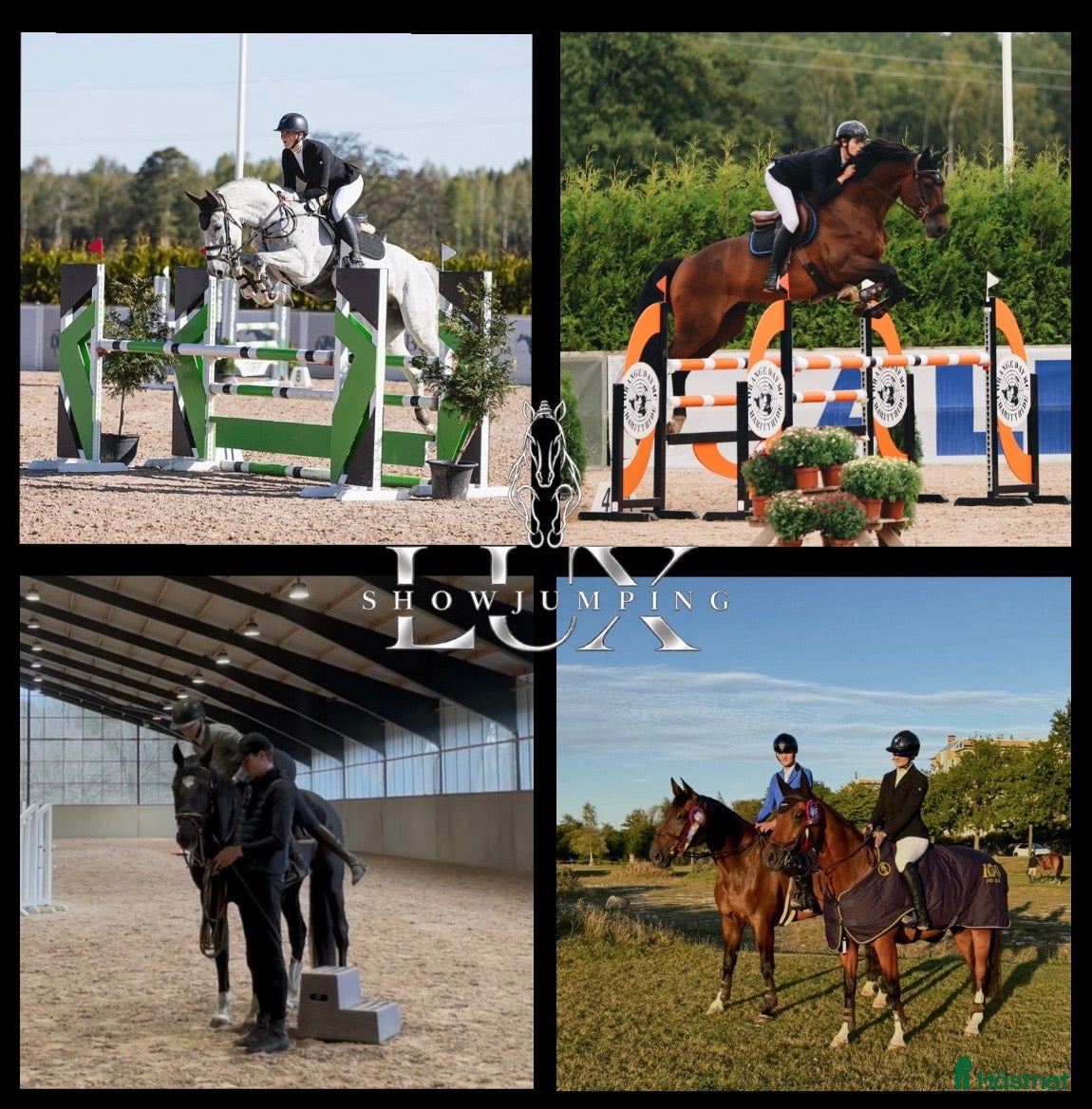  hästservice Lux Showjumping  - Annons 18