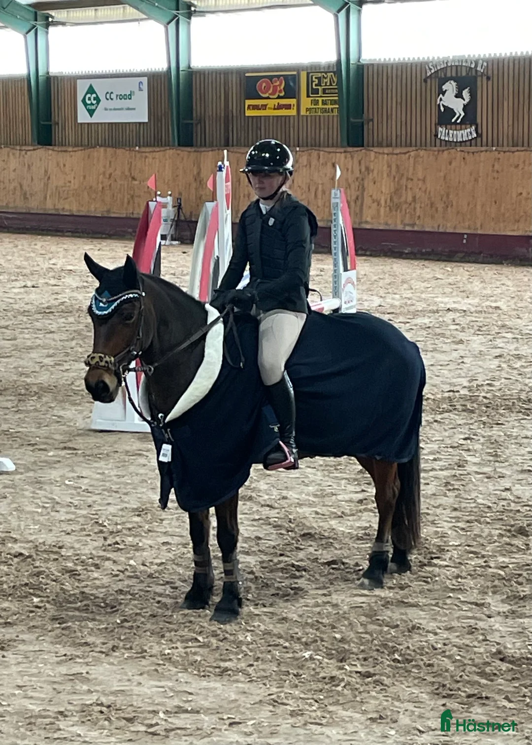 Hoppning hästar till salu: Fantastiskt ponny💫 - Annons 1