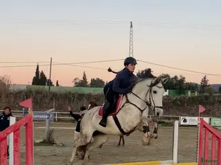 hästar Din framtida bästa vän - Annons 10