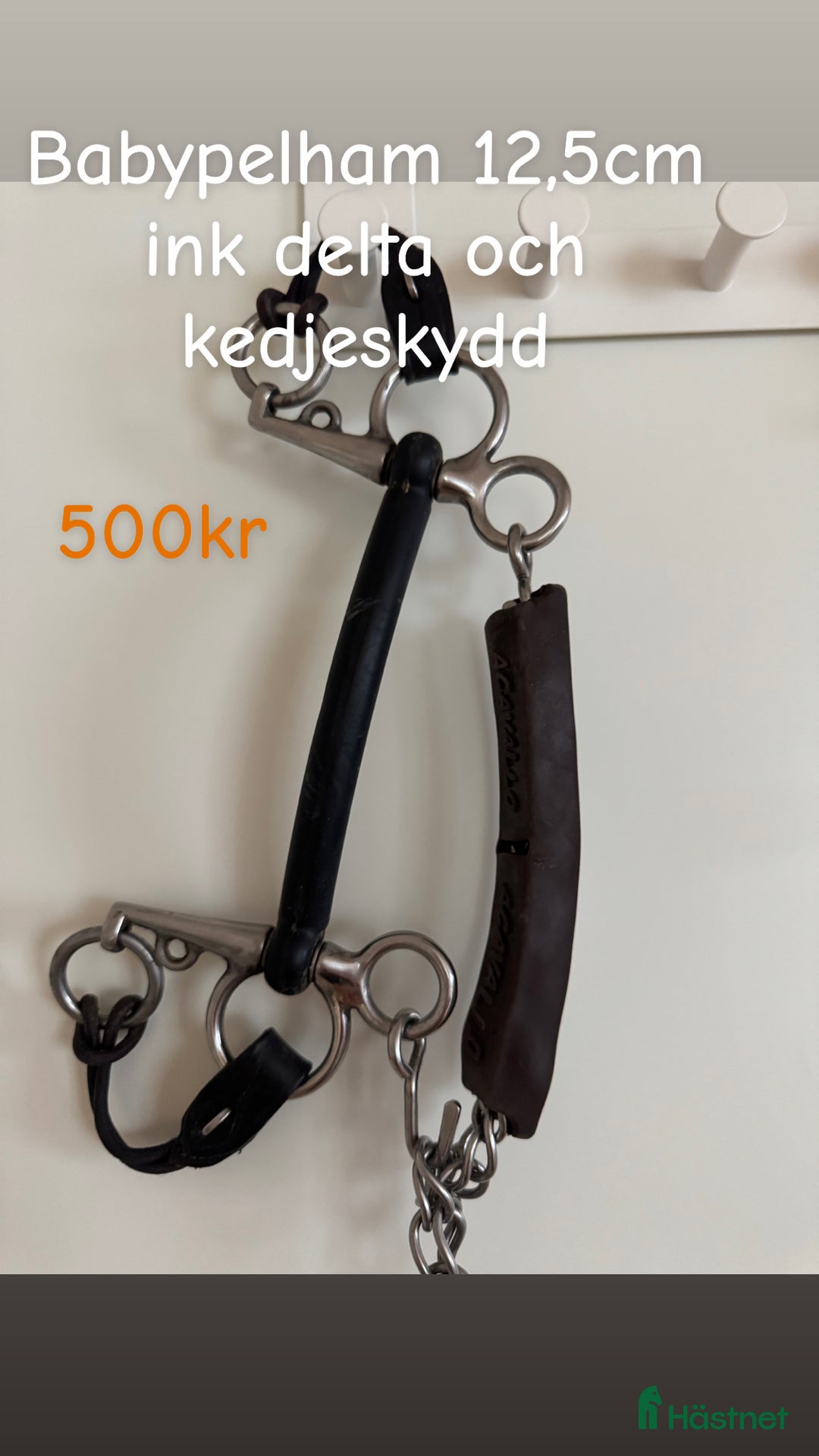 Övrig Hästutrustning hästutrustning till salu:  Samshield  Pikeur Fager Ariat Uhip MayaDelores i Hjälteby - Annons 14