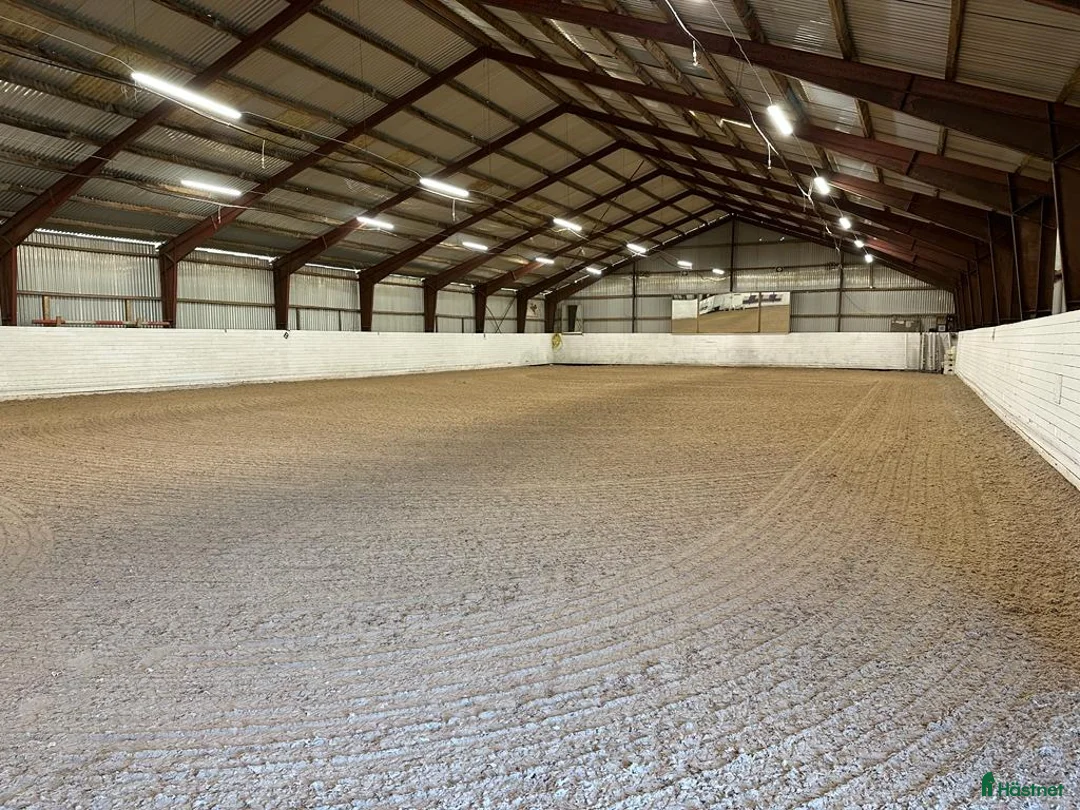  stallplats finnes: Ledig boxplats på Almare Stäket i Kungsängen - Annons 8