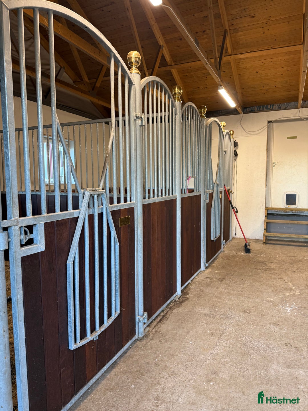 Allround hästar sökes: 2 bästa vänner sökes  i Dalsjöfors - Annons 2