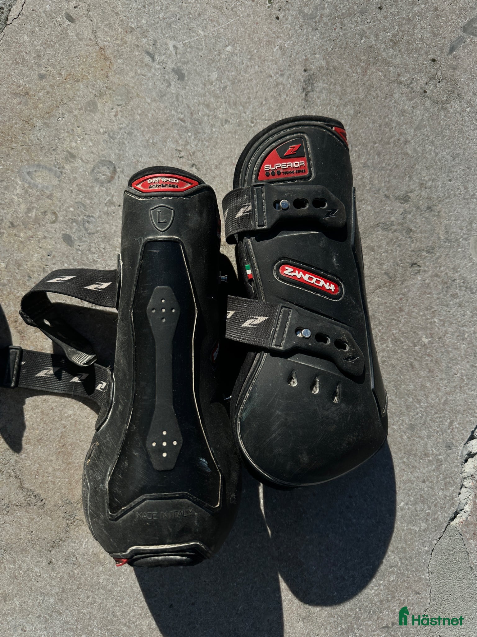 Benskydd hästutrustning Senskydd fram och bak Zandona - Annons 1