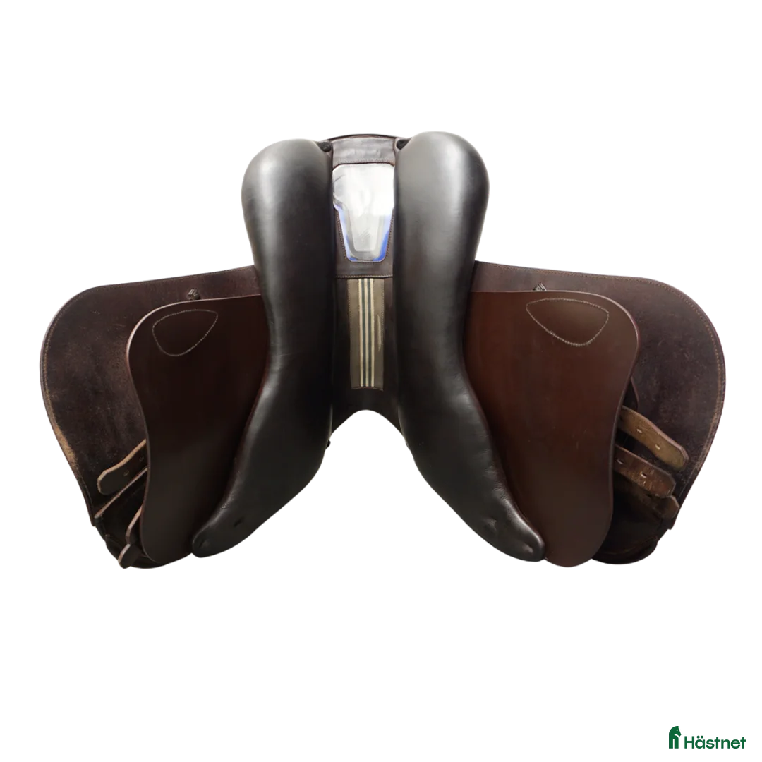 Sadlar hästutrustning till salu: Prestige Synchrony 17" - Annons 7