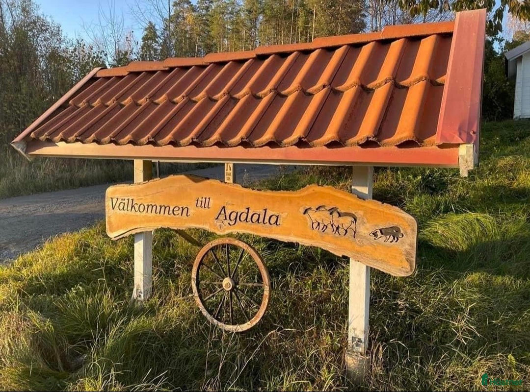  stallplats finnes: Lösdrift nära Södertälje  i Järna - Annons 2