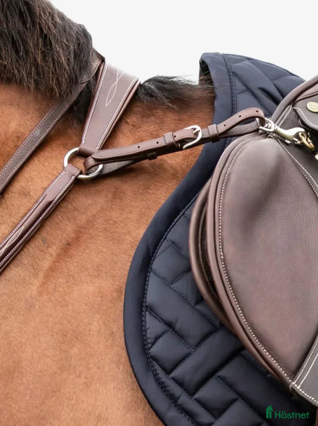 Sadeltillbehör hästutrustning till salu: Martingal m förbygel i Landskrona - Annons 3