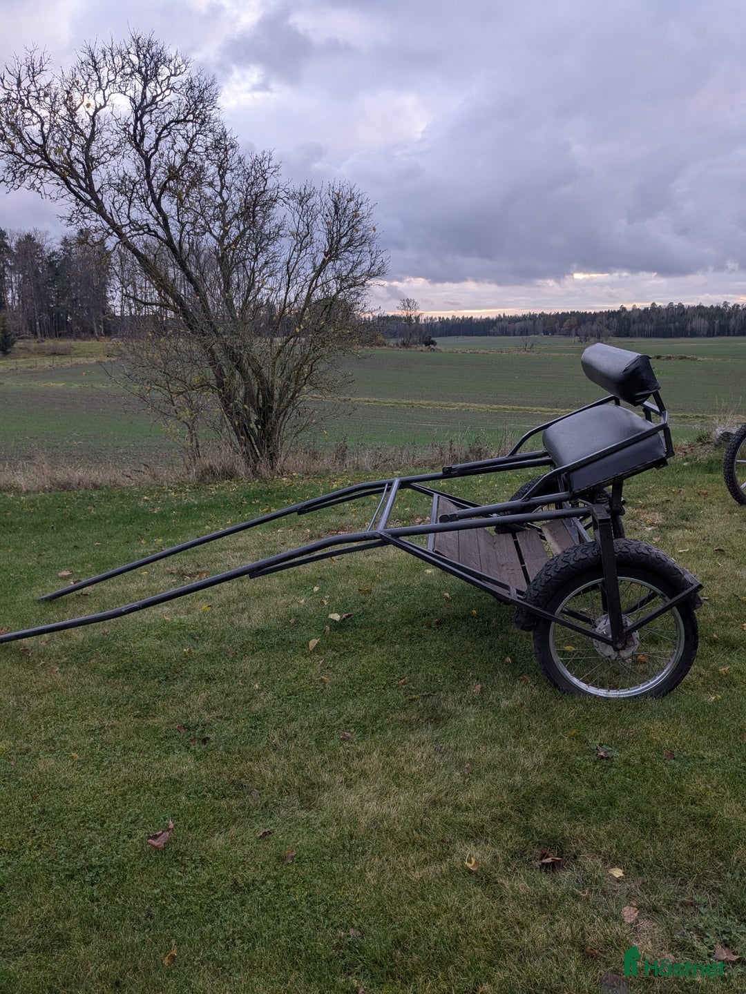 Körvagnar körning till salu: Rockard i Bettna - Annons 1