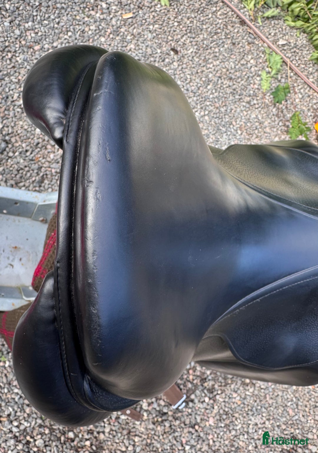 Sadlar hästutrustning till salu: CWD SE03 17 2L i Järna - Annons 6
