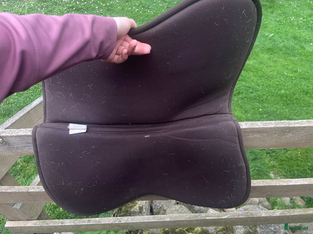 Sadeltillbehör hästutrustning till salu: Accavalo padd i Älmhult - Annons 3