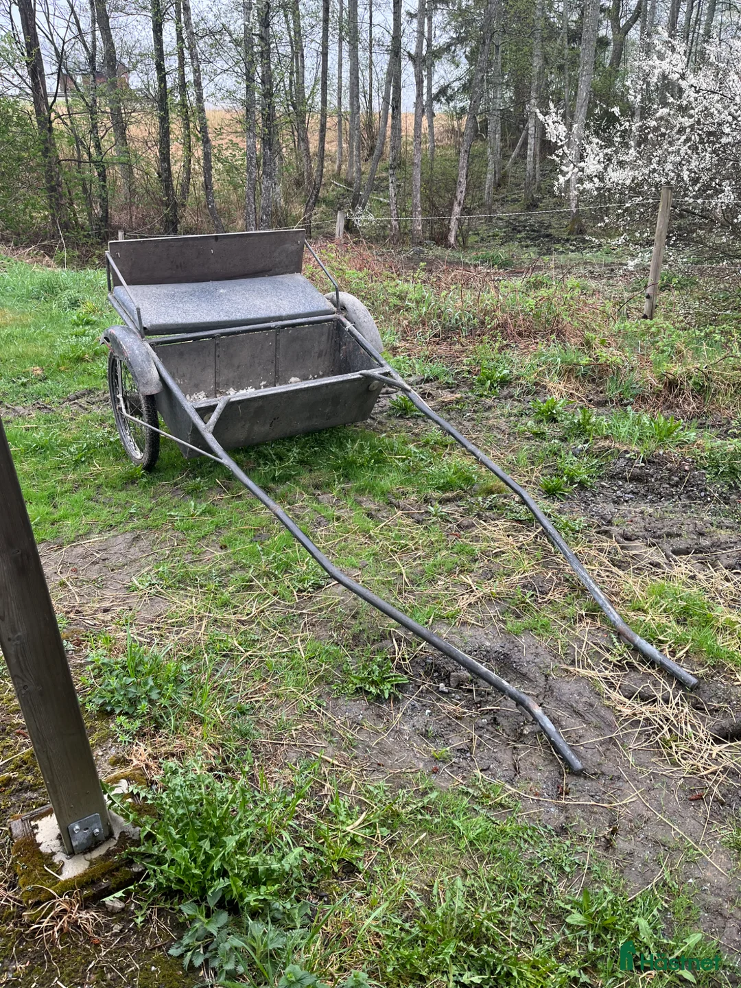 Övrigt hästar till salu: Shettisvalack 93 cm - Annons 3