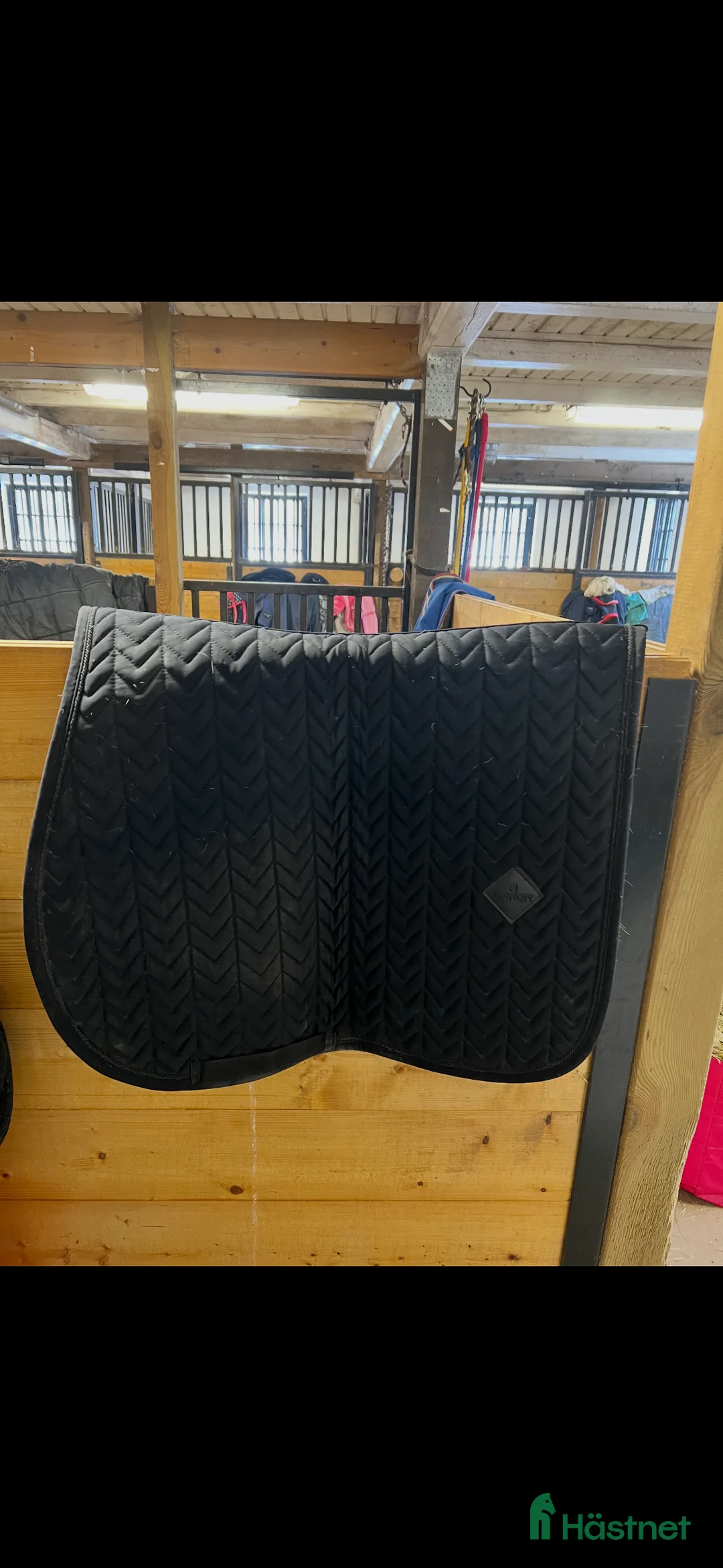 Schabrak & Vojlockar hästutrustning till salu: E logga i Göteborg - Annons 2