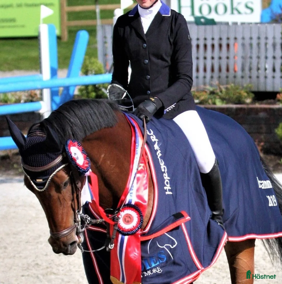 Jackor & Kavajer ryttarutrustning till salu: Ridkavaj i Mölnlycke - Annons 3