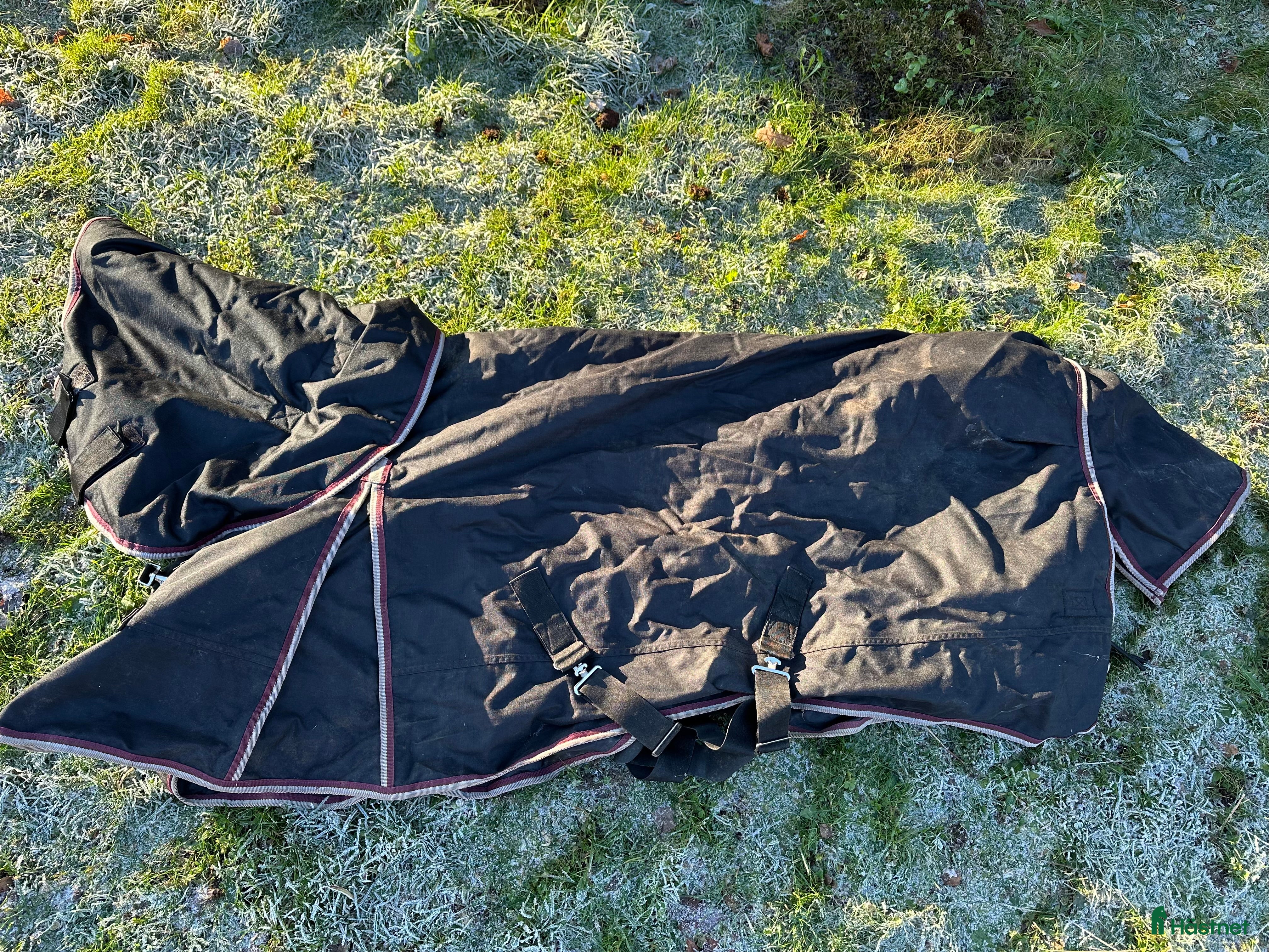 Täcken hästutrustning till salu: Vintertäcke 300g med hals stl 125 i Kumla - Annons 23