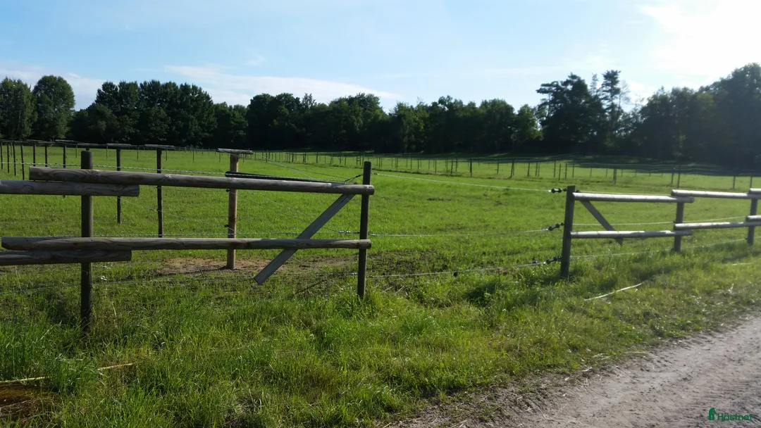  stallplats finnes: Stallplats utanför Bjärlöv, Kristianstad  - Annons 2