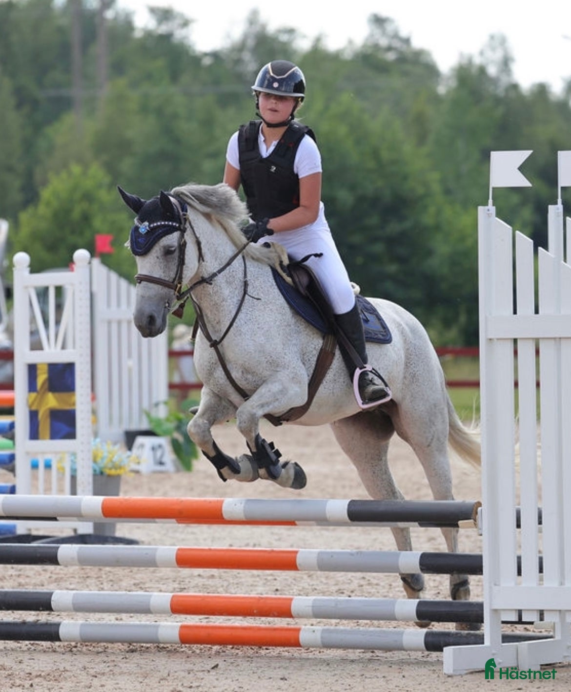  hästar En mysig kompis  i Tranås - Annons 14