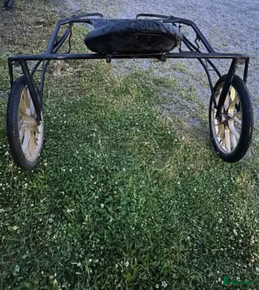 Travvagnar trav till salu: Royal Hawk Hawk i Ockelbo - Annons 3