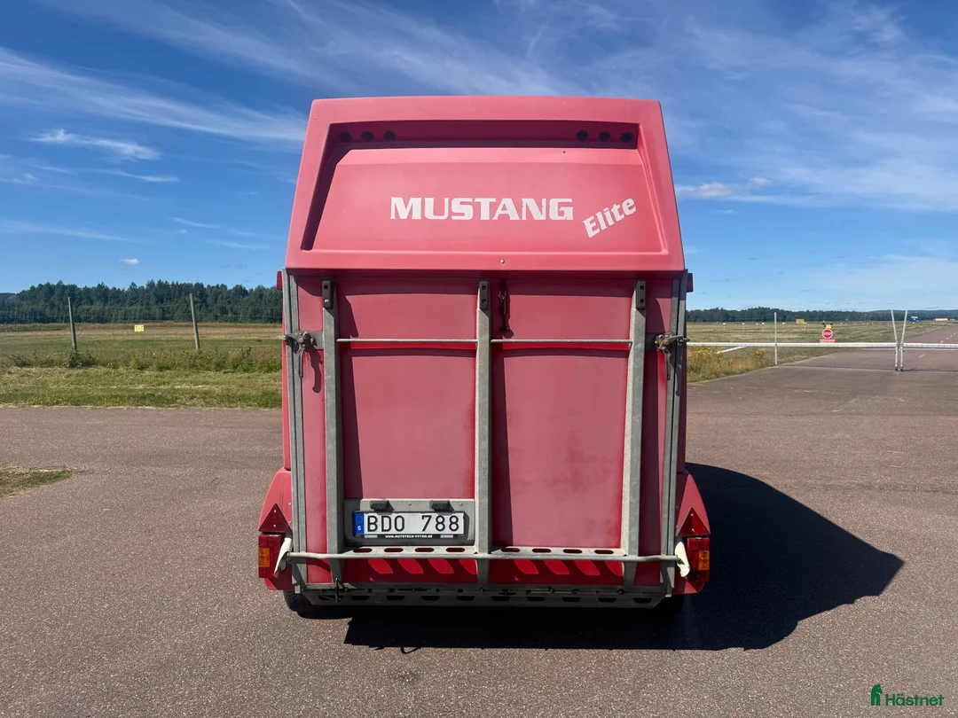 Hästtransporter  fordon & transport till salu: Mustang Elit -09 - Bra skick - Annons 4