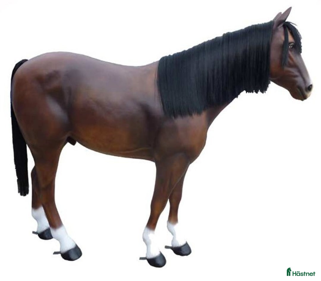 Hästinspirerad heminredning övrig utrustning till salu: Unika glasfiberhästar i naturlig storlek i Luleå - Annons 1