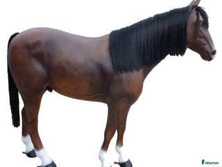 Hästinspirerad heminredning övrig utrustning till salu: Unika glasfiberhästar i naturlig storlek i Luleå - Annons 6