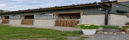  stallplats finnes: Boxplats på Långdals ridcenter - Annons 3