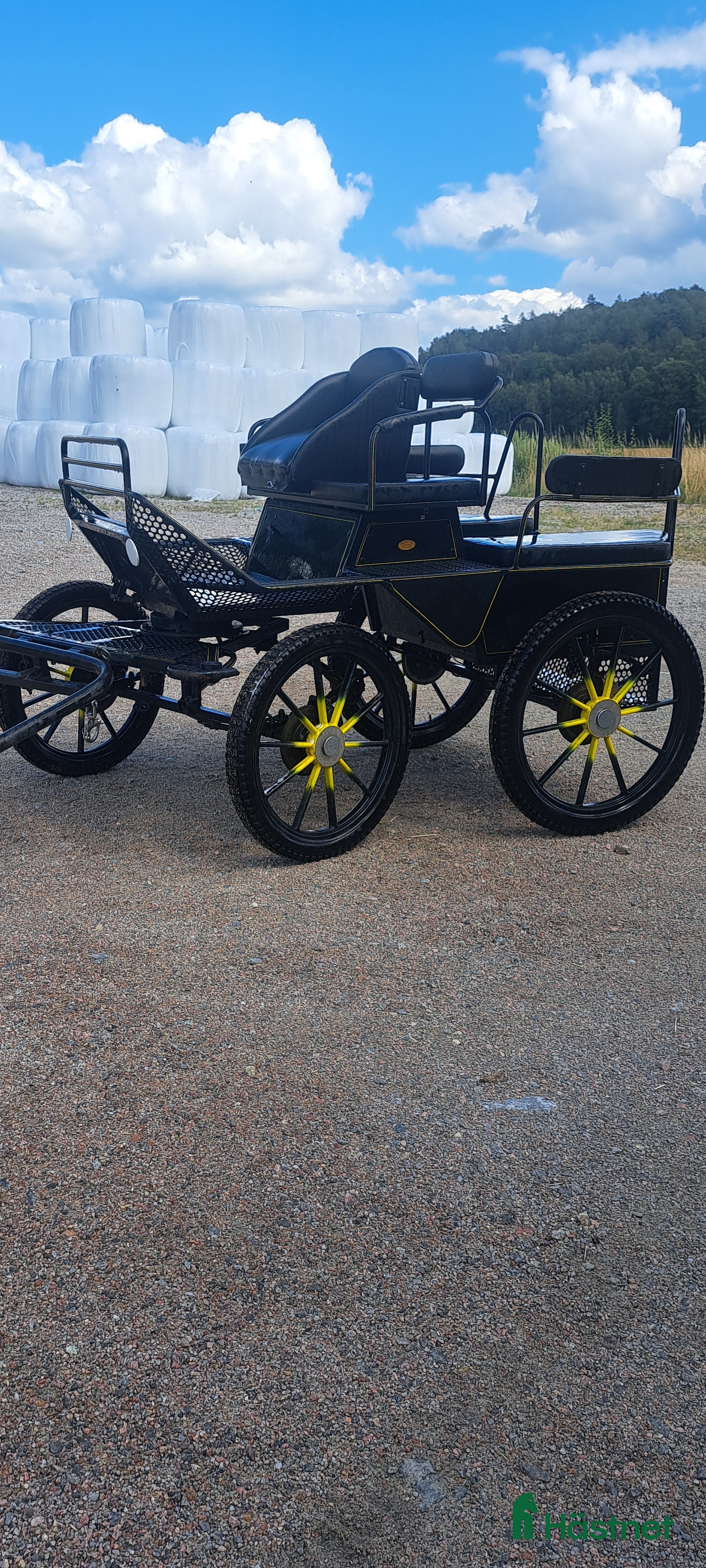 Körvagnar körning till salu: Fin vardagsvagn för enbent och par i Uddevalla - Annons 18