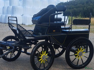 Körvagnar körning till salu: Fin vardagsvagn för enbent och par i Uddevalla - Annons 12