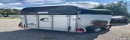 Hästtransporter  fordon & transport till salu: Nyinkommen Cheval Gold 2 - 2019 - Annons 6