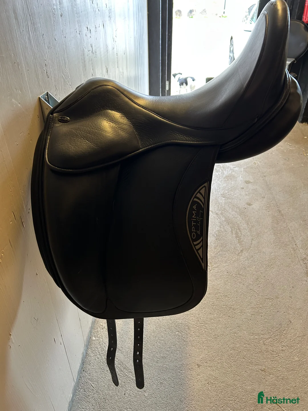 Sadlar hästutrustning till salu: Santa Cruz Optima, Leopold, UG-system - Annons 2
