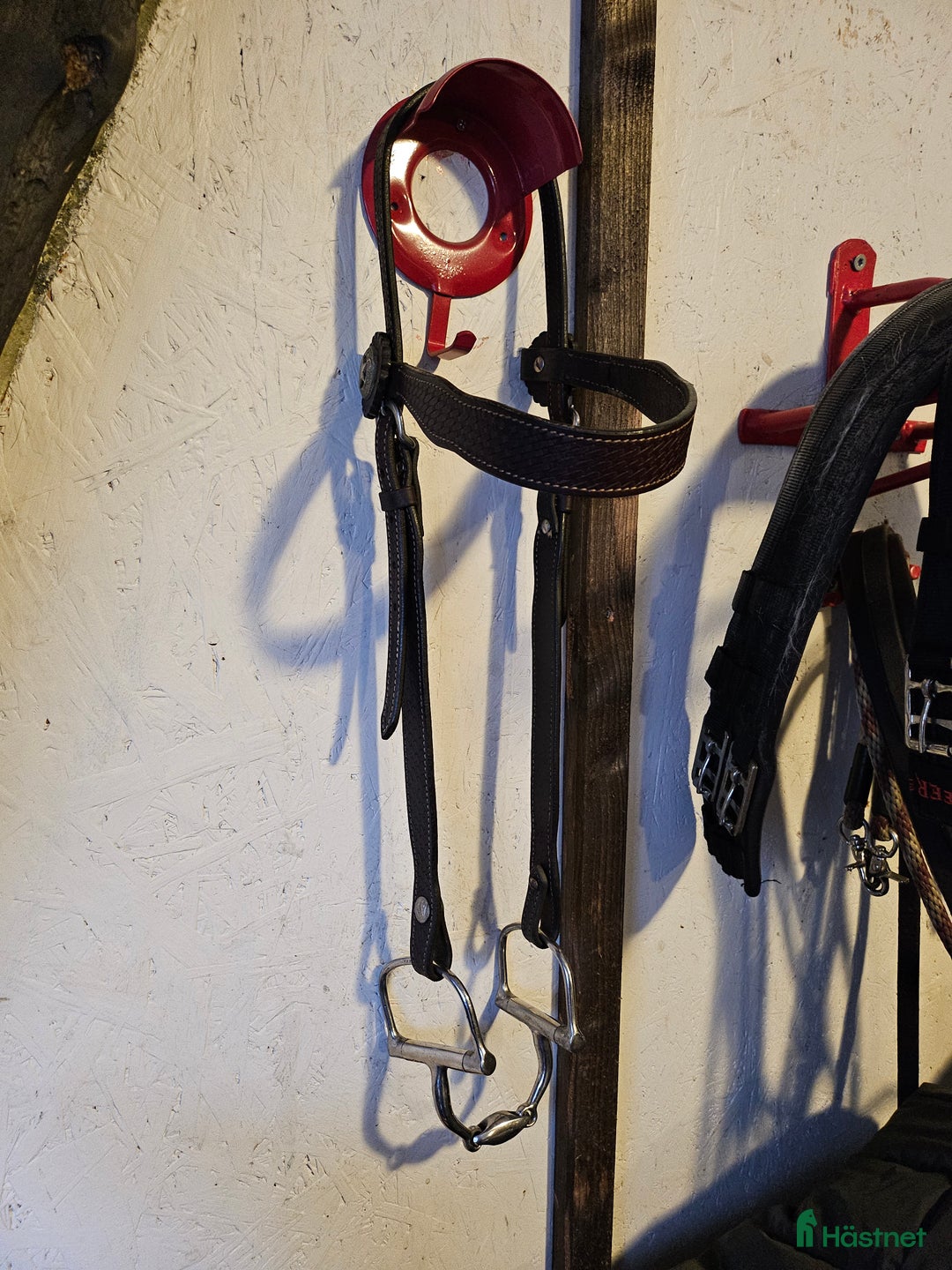 Träns hästutrustning till salu: Westernträns kallblod i Hillared - Annons 2